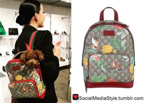 shark gucci backpack|Gucci backpack hummingbird.